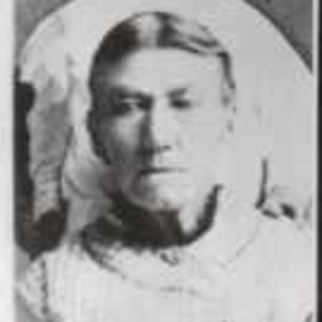 Dorthea Knudsen Jensen (1840 - 1916) Profile